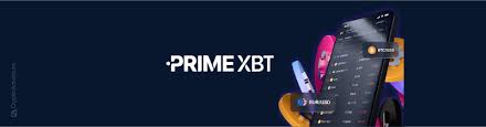 Comprehensive Insights in PrimeXBT Reviews