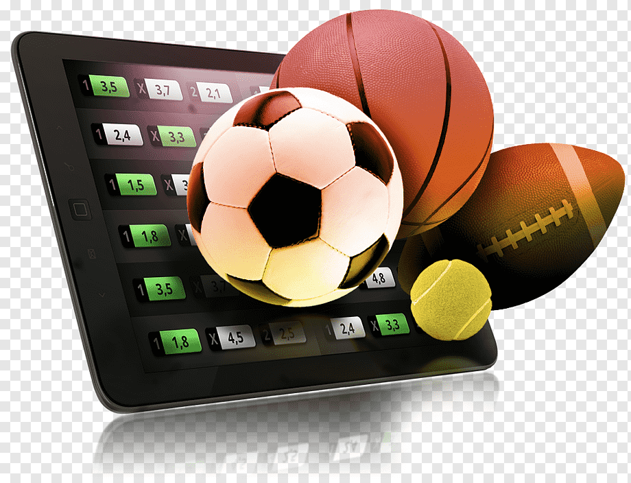 Discover the Fastest Payout Online Casinos Discover the Fastest Payout Online Casinos