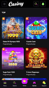 Discover the World of Online Gaming with Casiny