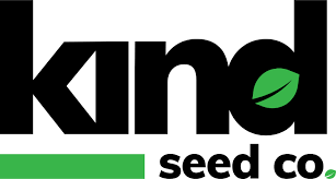 The Toad Strain Seeds A Journey Into Unique Cannabis Genetics